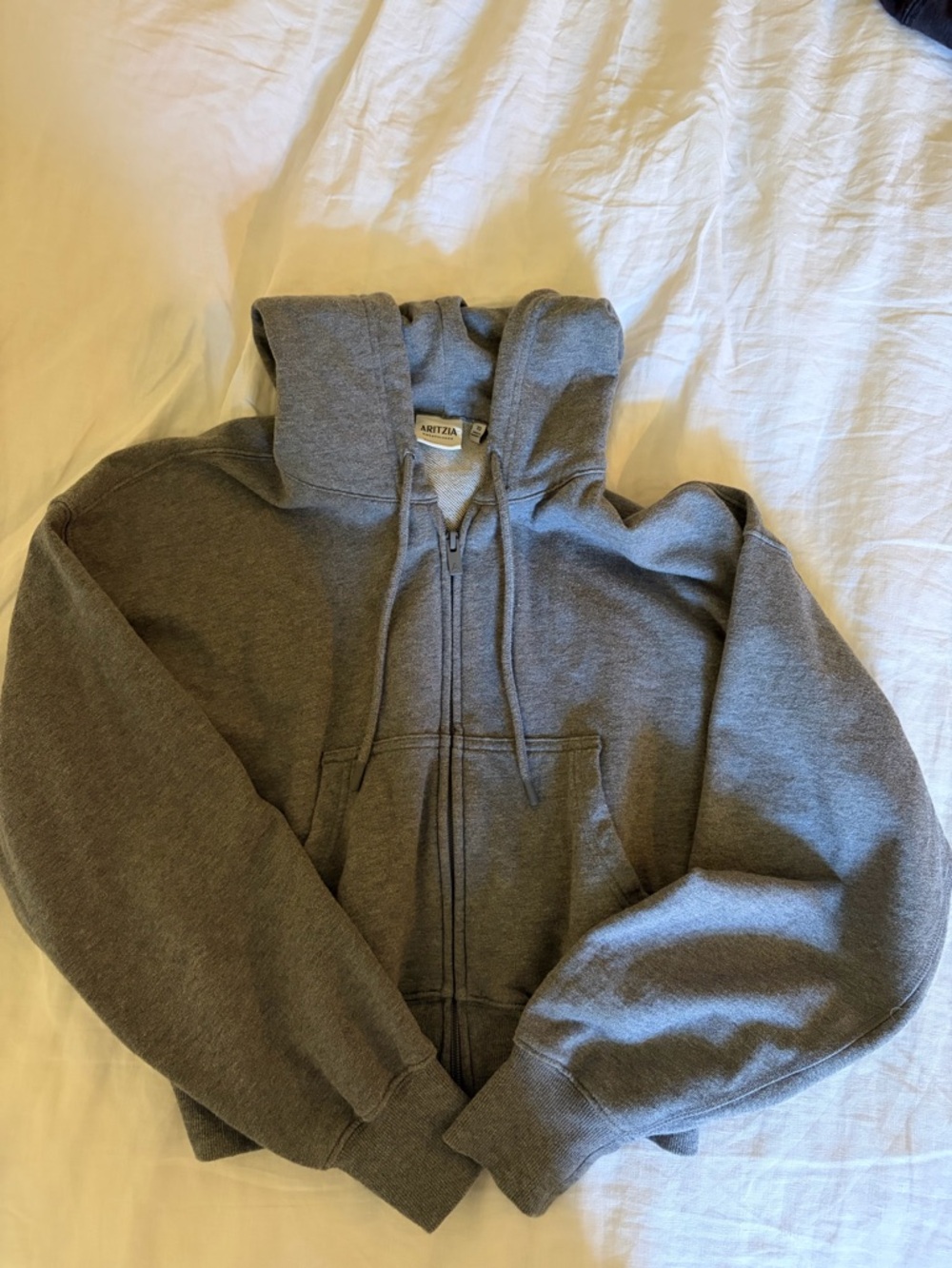 Aritzia Gray Zip-Up Hoodie